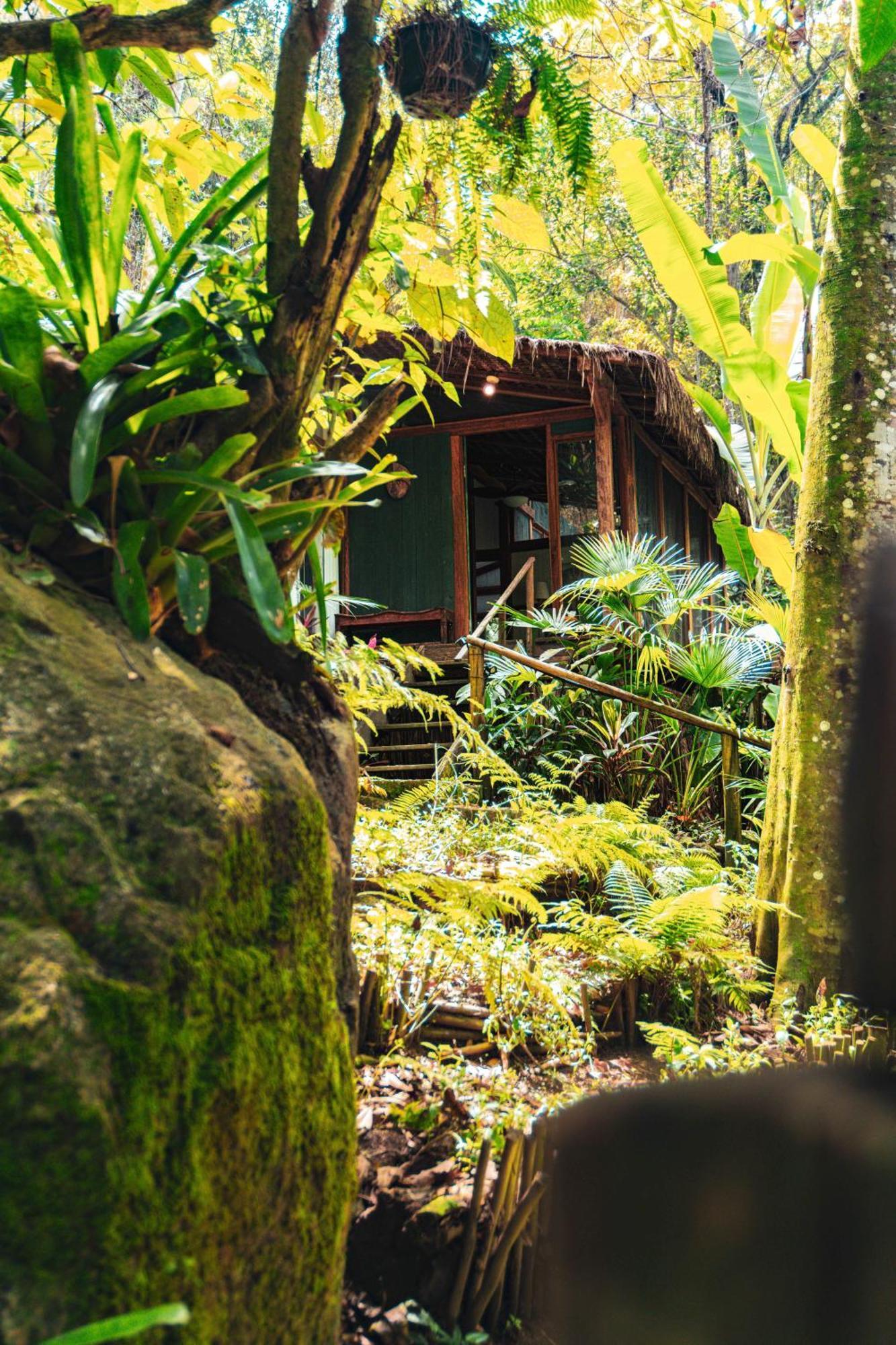Casa Luz Hotell Araquari Eksteriør bilde